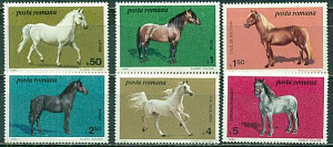 Румыния,1984, Лошади, 6 марок Румыния,1984, Лошади, 6 марок